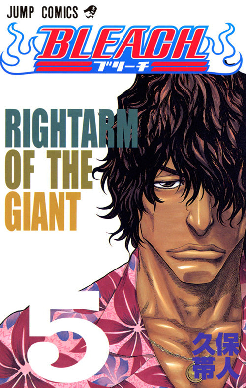 Bleach Vol.5 Jump Comics Manga - Japanese Version