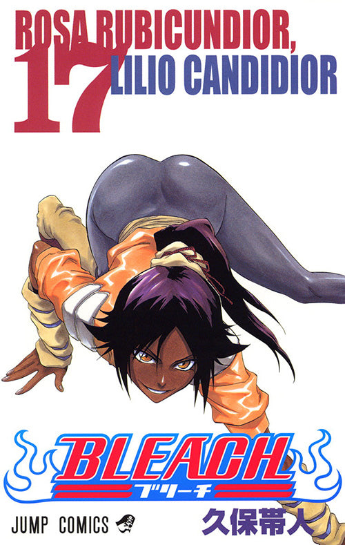 Bleach Vol.17 Jump Comics Manga - Japanese Version