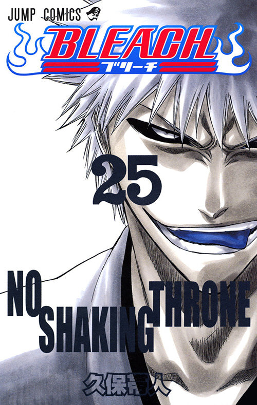 Bleach Vol.25 Jump Comics Manga - Japanese Version