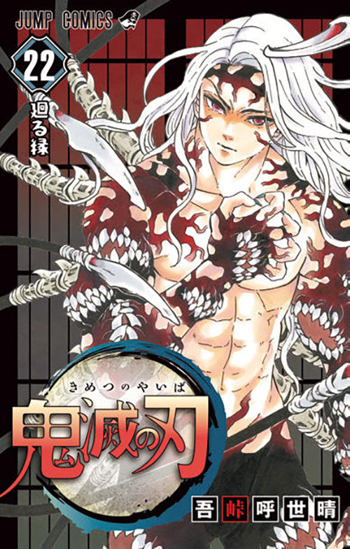 Demon Slayer (Kimetsu no Yaiba) Vol.22 Jump Comics Manga - Japanese Version